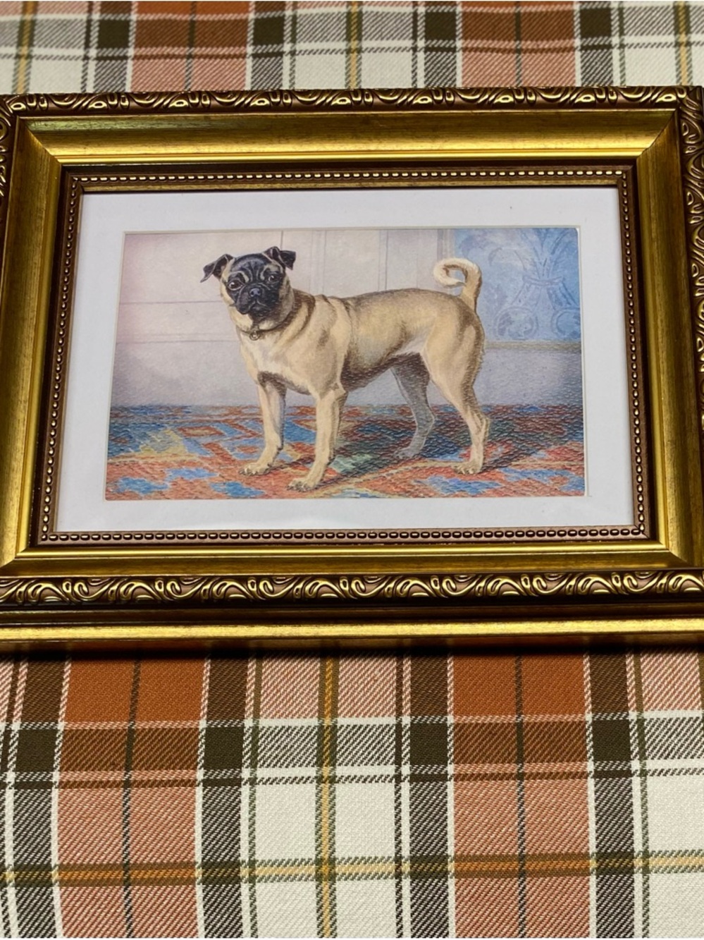 Framed Vintage Pug Dog Art Print in Gold Frame - Picture 3 of 6